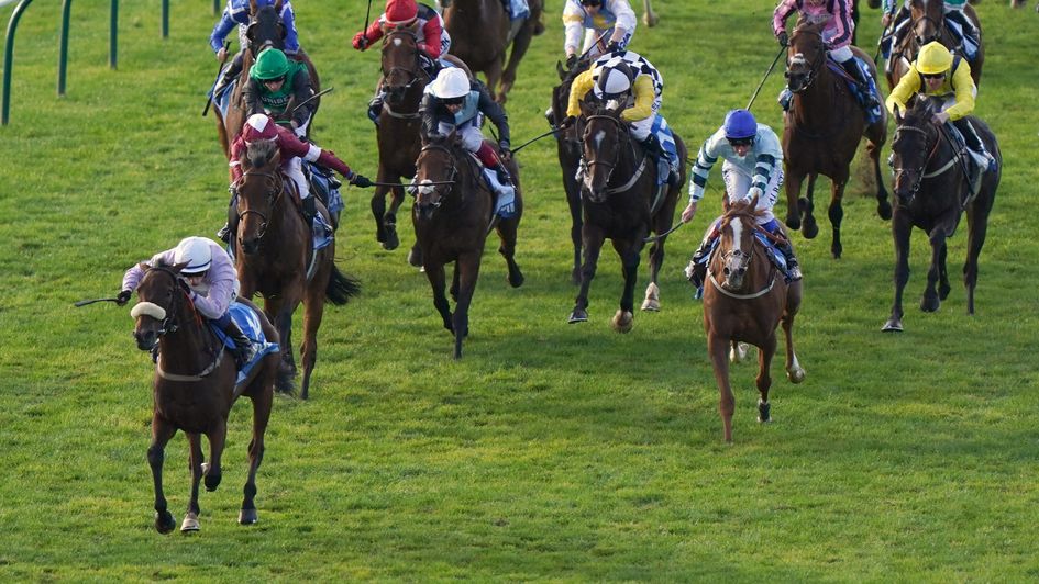 Vino Victrix (maroon silks) chases home Run For Oscar at Newmarket