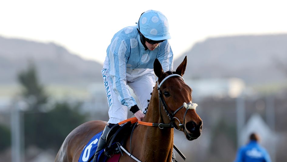 Honeysuckle - bows out in Mares' Hurdle