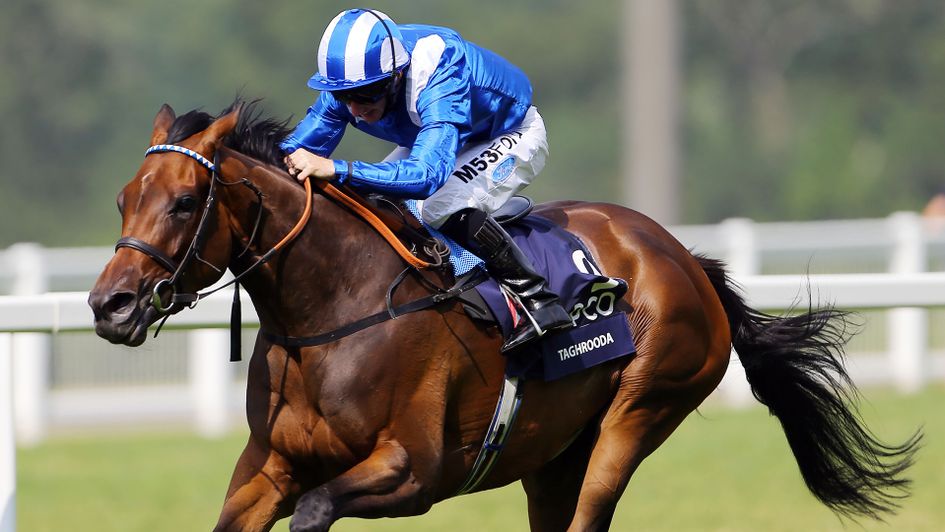Taghrooda (pictured winning the King George) has a son running at Newmarket on Wednesday