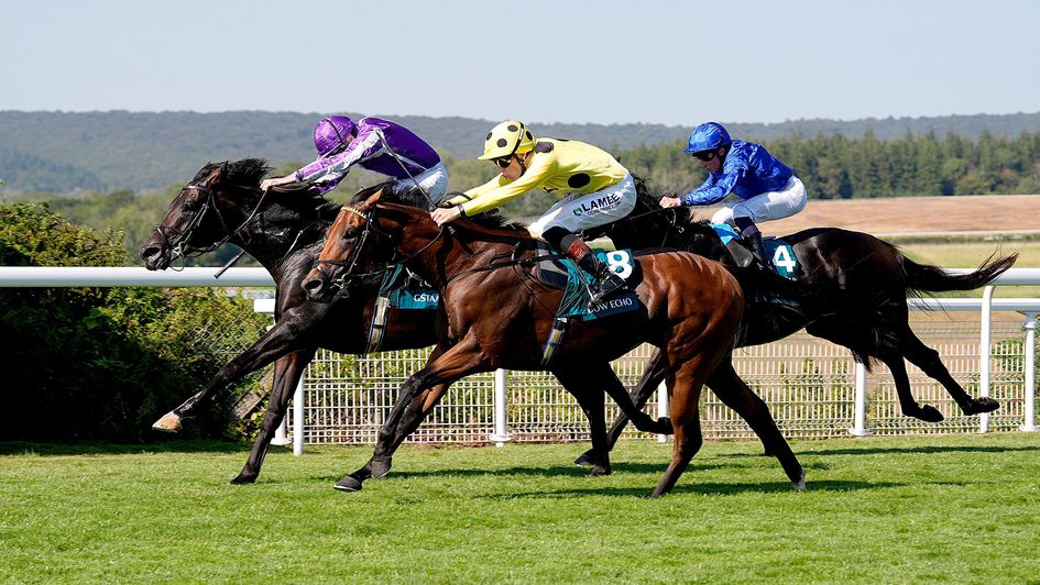Bow Echo gets the better of Gstaad and Opera Ballo