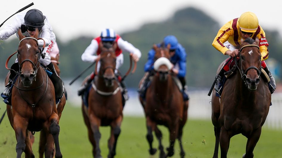 Marsha (l) and Lady Aurelia clash in the Nunthorpe Stakes