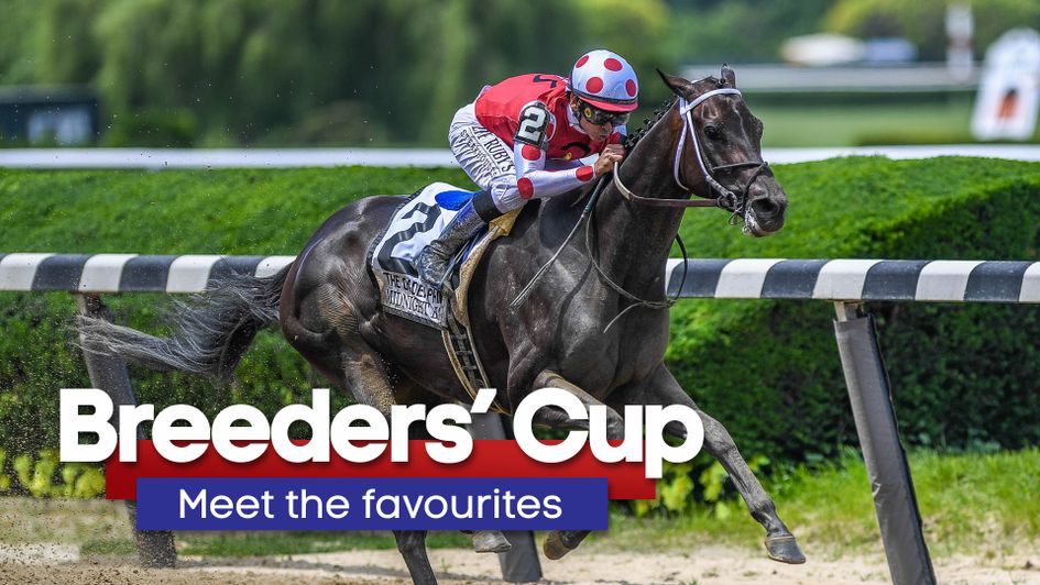 Midnight Bisou is a strong contender for the Distaff