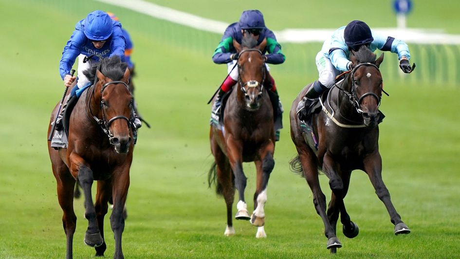 Royal Patronage (right) has been drawn in stall 1 in the Derby