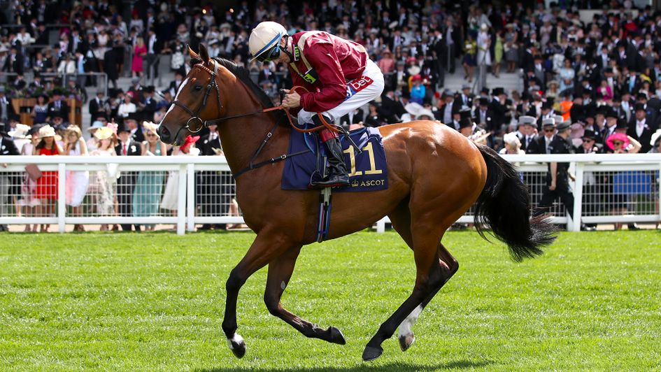 Kurious won at Sandown