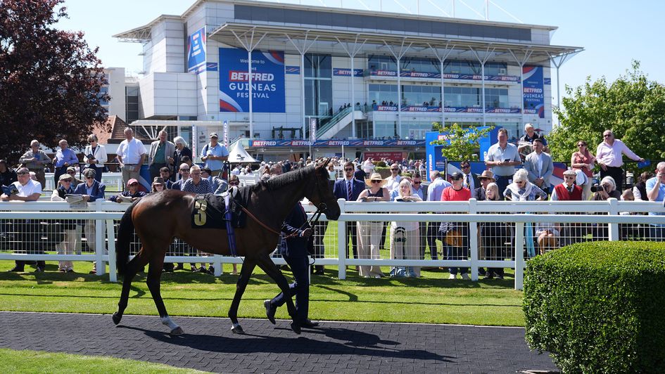 Earth Shot, pictured prior to her maiden win at Newmarket