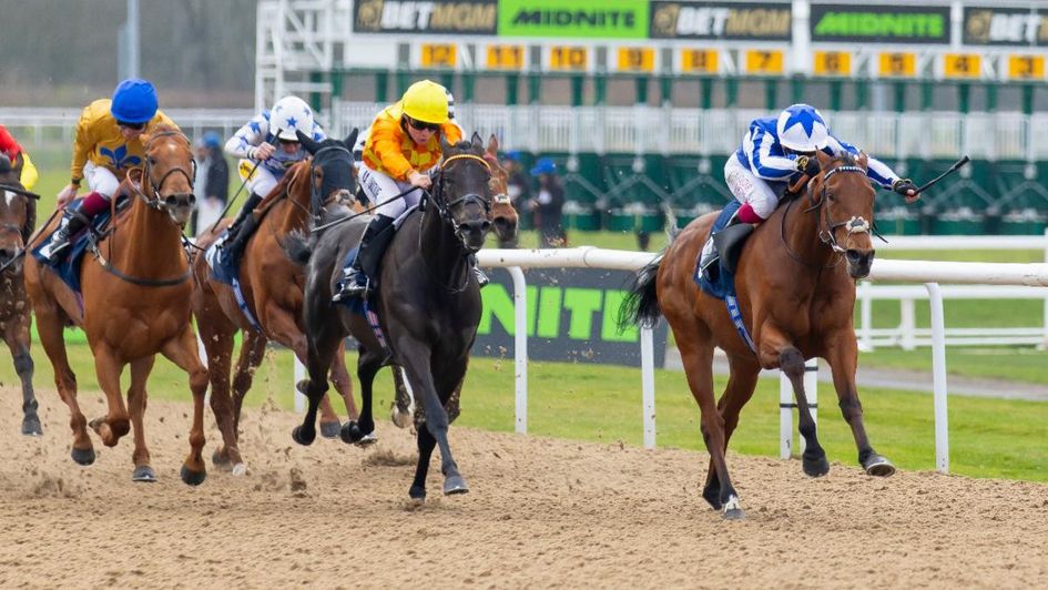 The Lost King beats First Principle in the BetMGM Lincoln Trial at Wolverhampton (Jonathan Hipkiss)