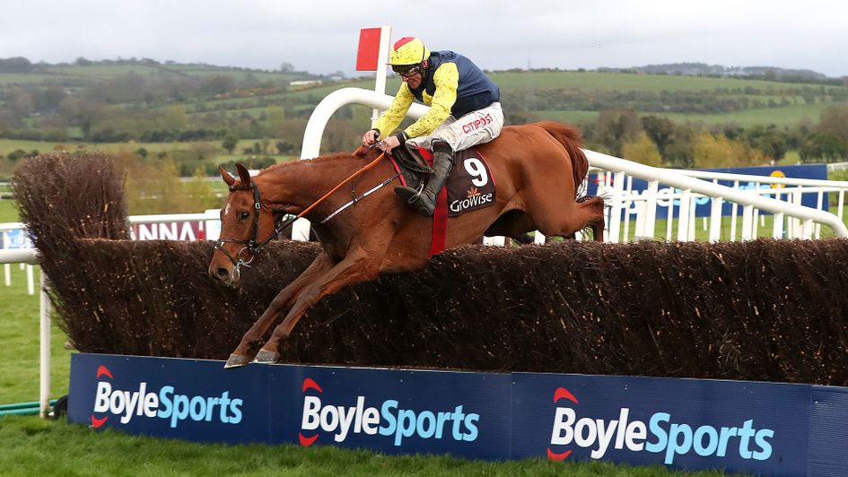 The Storyteller wins at Punchestown