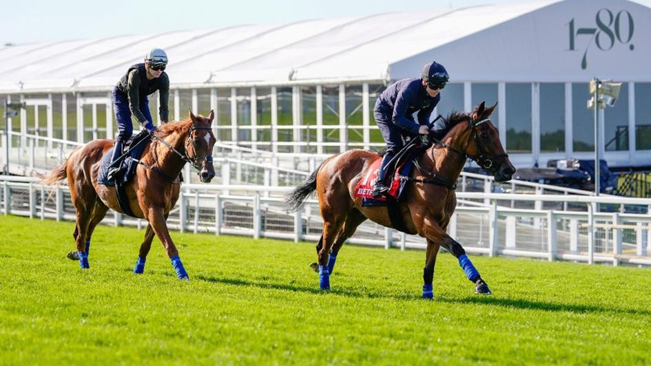 Legacy Link leads from Dangerman at Epsom (Megan Coggin/The Jockey Club)