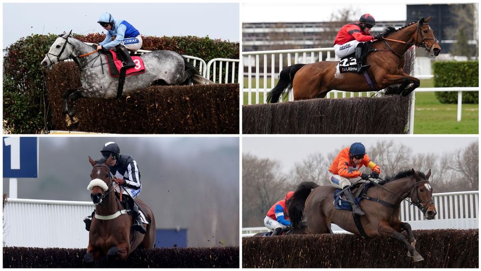 Guide to the Coral Gold Cup field