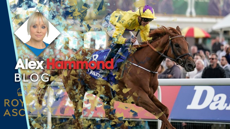 Sea Of Class is backed for Royal Ascot glory