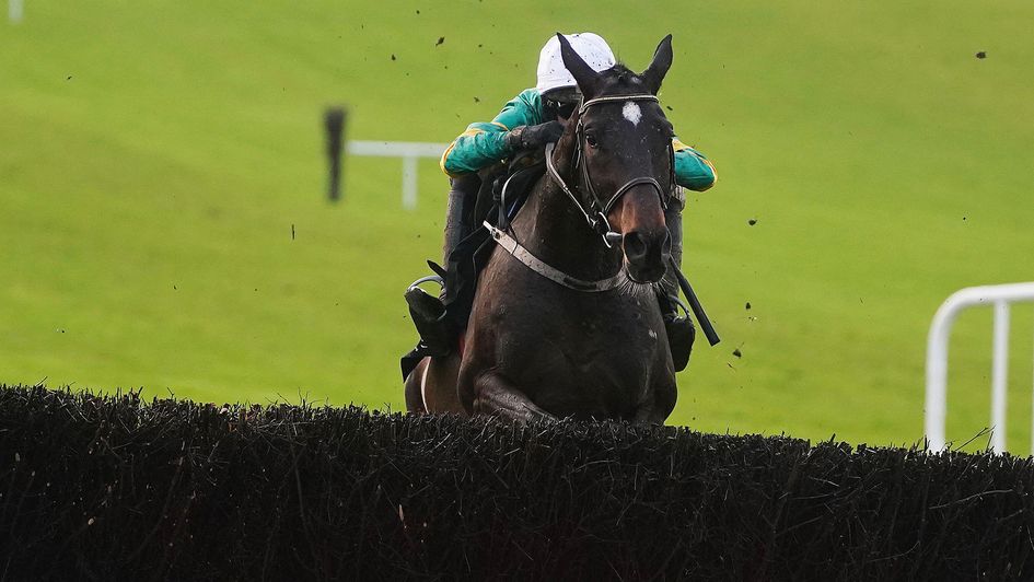 Fact To File jumped well on chasing debut