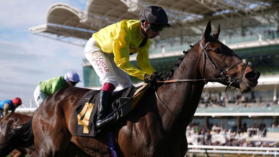 Mister Winston wins the finale at Newmarket