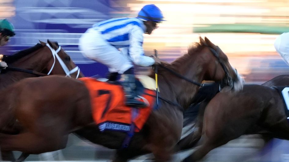 Seagulls Eleven - worked at Newmarket