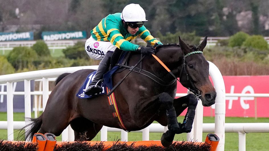 The impressive No Flies On Him