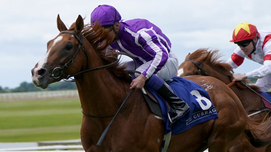 Proud And Regal won Saturday's Criterium International