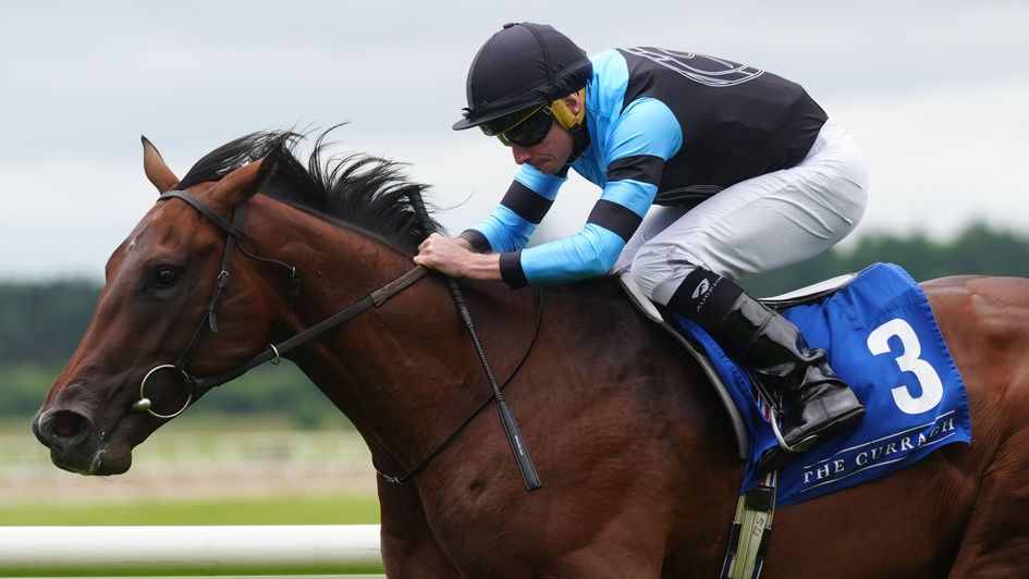 Giant Sequoia opens his account in style at the Curragh
