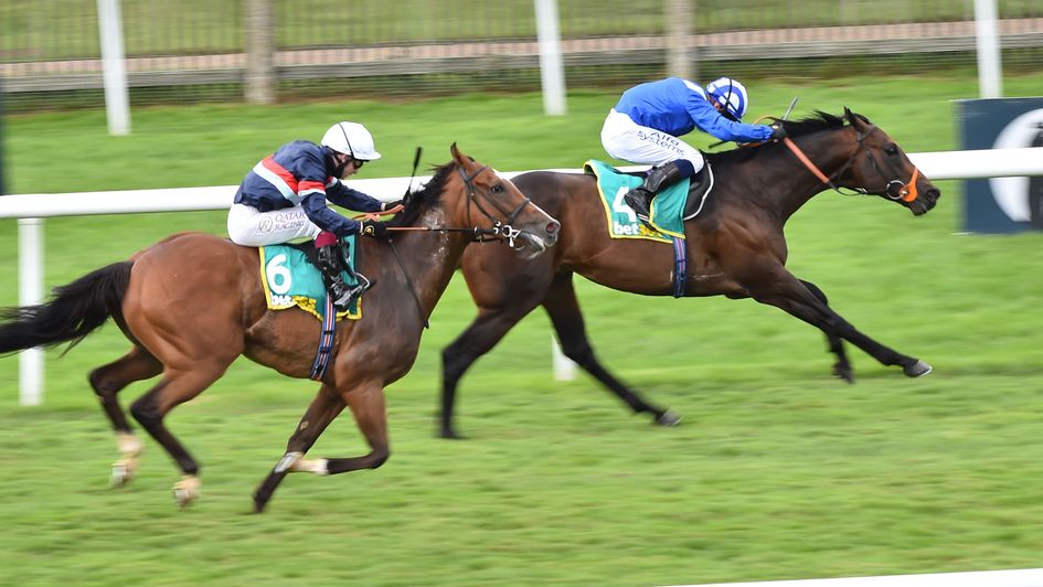 Motakhayyel beats Sir Busker in the Bunbury Cup