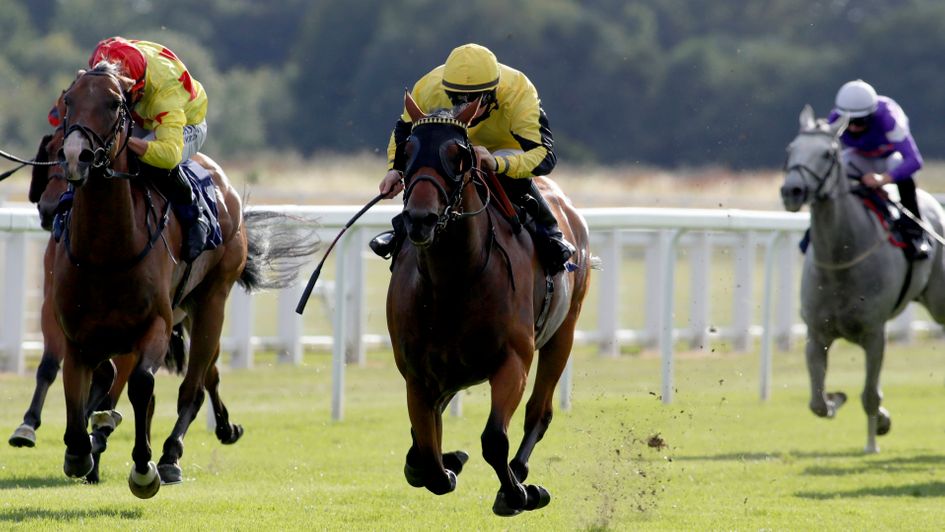 Who Told Jo Jo in action