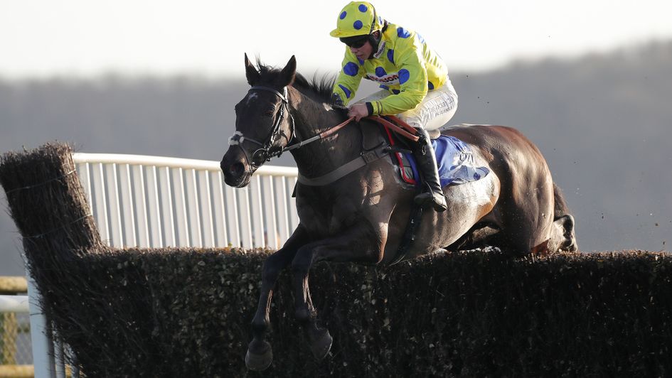 Yala Enki - bidding to repeat last year's win