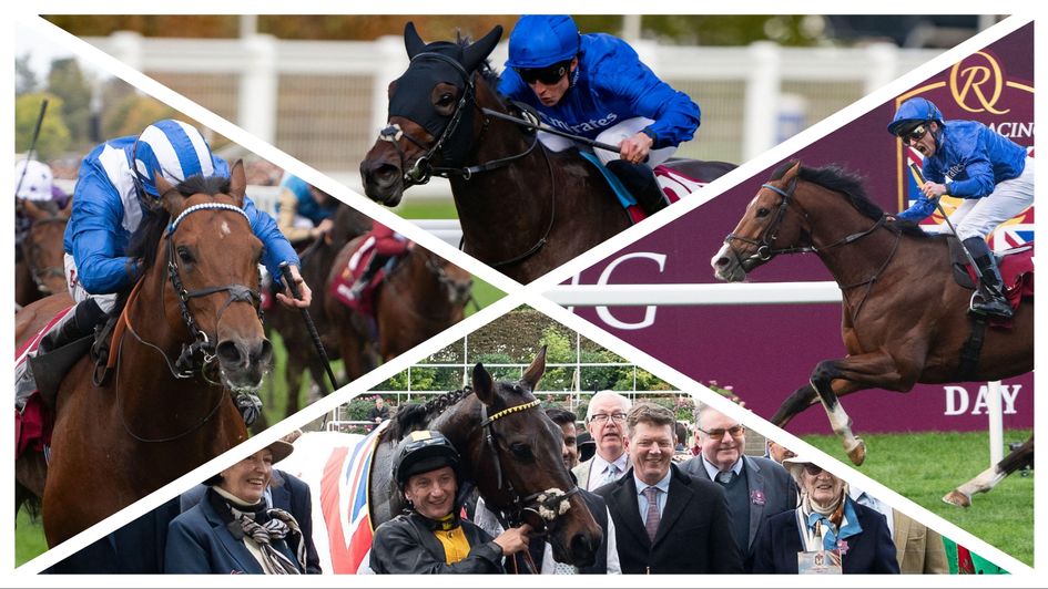 Some of the star performers from Qatar Racing British Champions Day