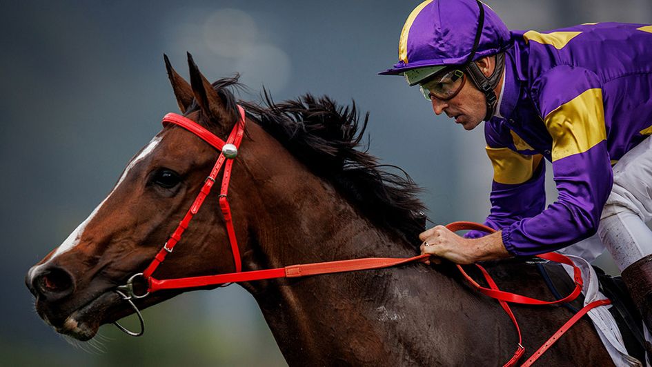 Helios Express and Hugh Bowman