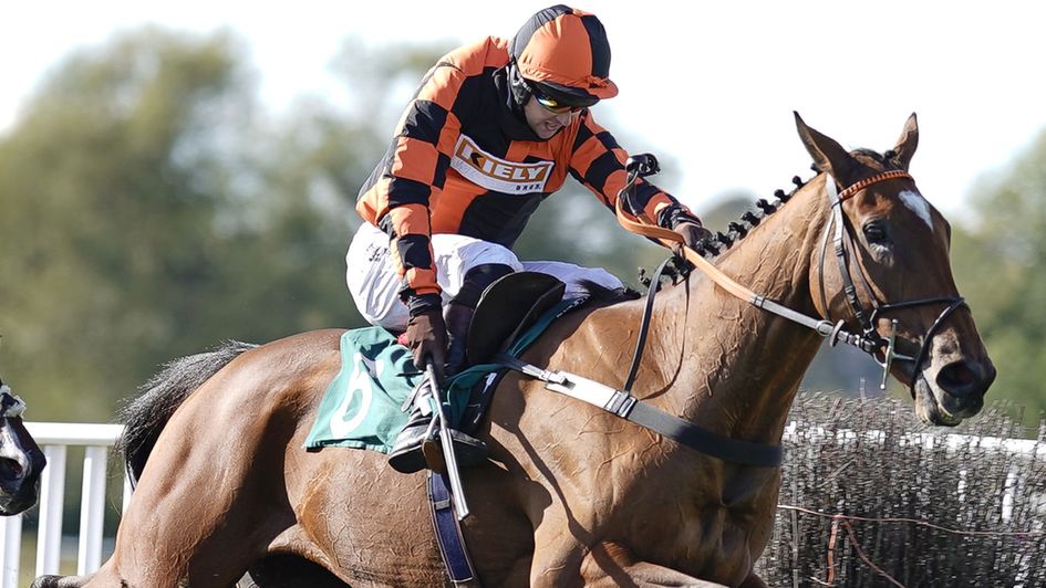 Court Master in winning action