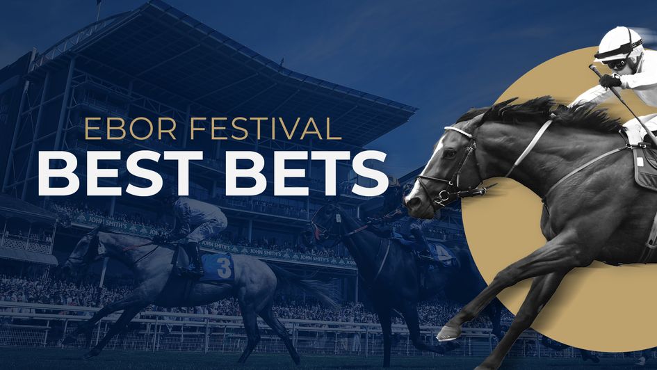 Check out our team's strongest fancies