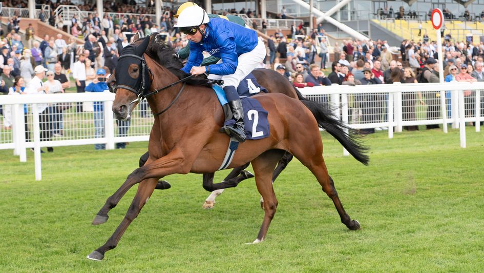 Sorrengail swoops at Newbury