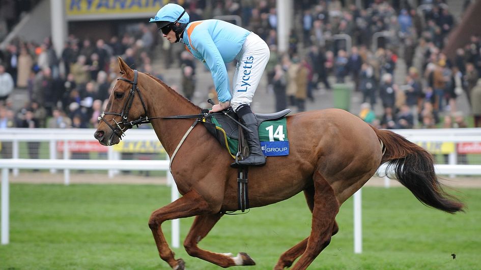 Mad Moose pictured cantering to post - but he wasn't always so keen to break into a gallop
