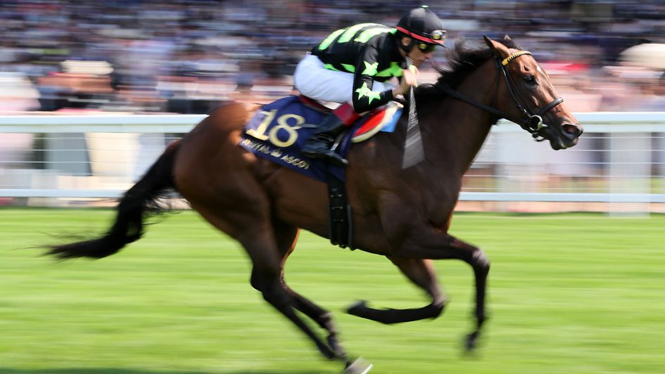 Lady Aurelia pictured winning the King's Stand