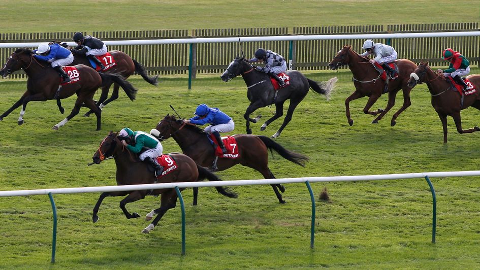 Who will follow Spark Plug's Cambridgeshire victory 12 months ago?