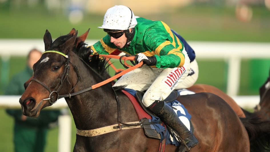 Winter Escape - won at Punchestown