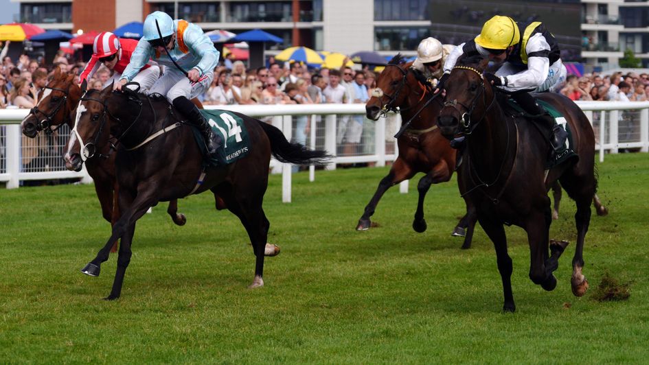 Anthelia grabs Havana Hurricane on the line