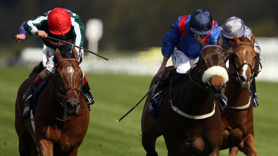 Mizzou (left) wins the Sagaro