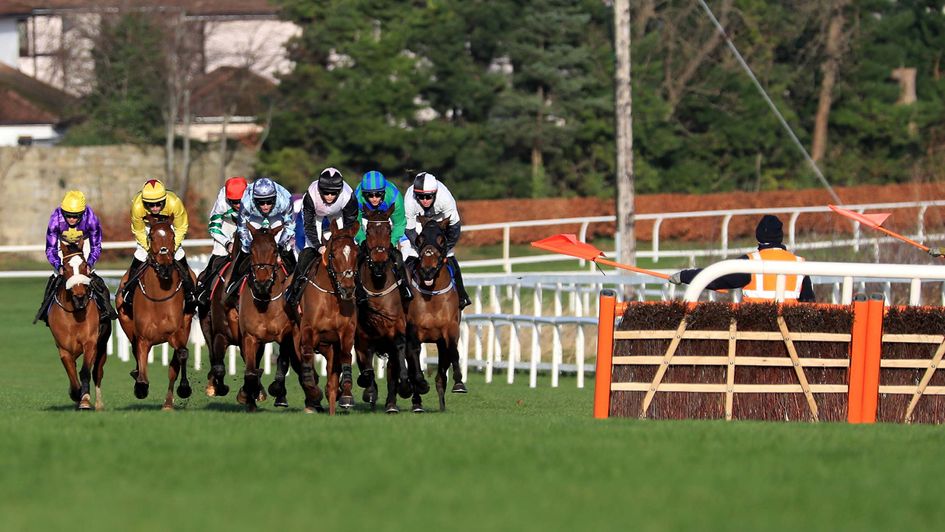 Horse Racing Tips: Timeform ratings and Flags for Tuesday