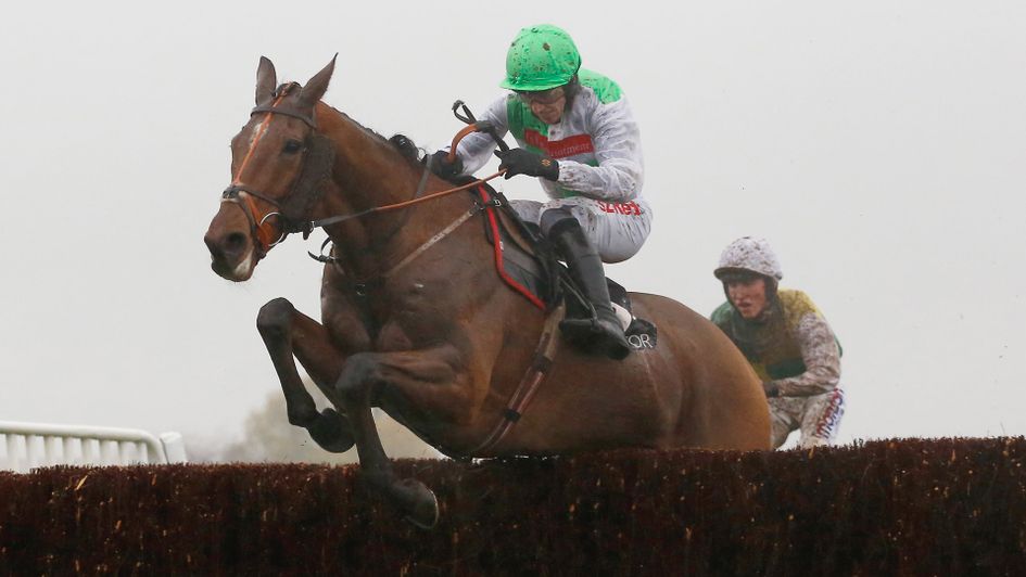 Perfect Candidate jumped and galloped them into the ground