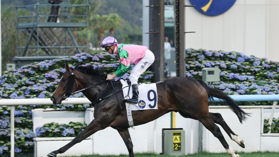 Aerovolanic impresses at Sha Tin