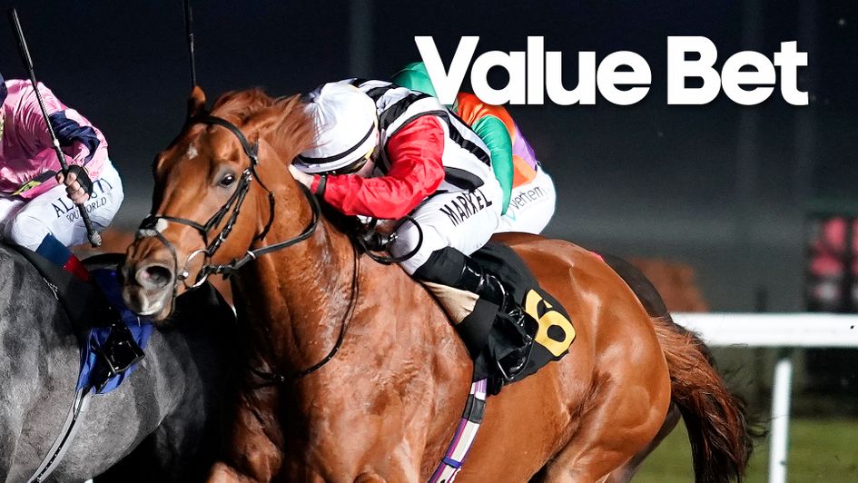 Harry's Bar is fancied at a big price in the Chipchase