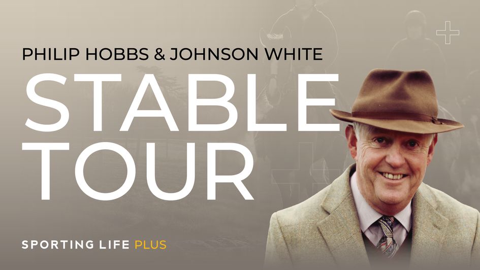 Latest Cheltenham Festival Stable Tour