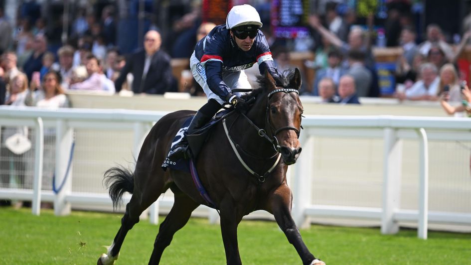 Night In Vegas - looks set for the Coventry Stakes