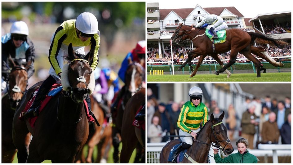 Some of the principal contenders this year