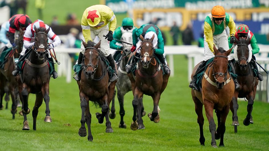 Protektorat ran a great race in defeat in the Paddy Power Gold Cup