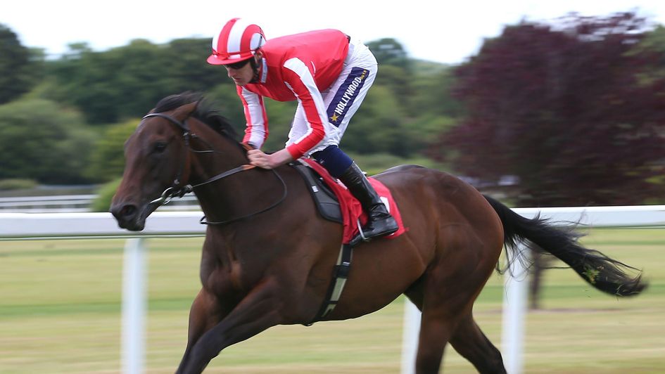 Rocket Rodney wins at Sandown