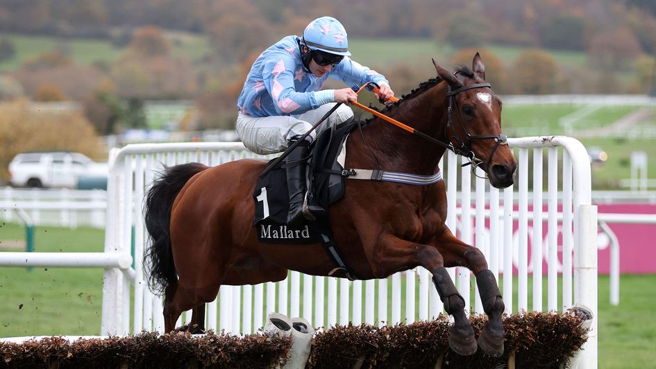 Cannock Park jumps to victory at Cheltenham