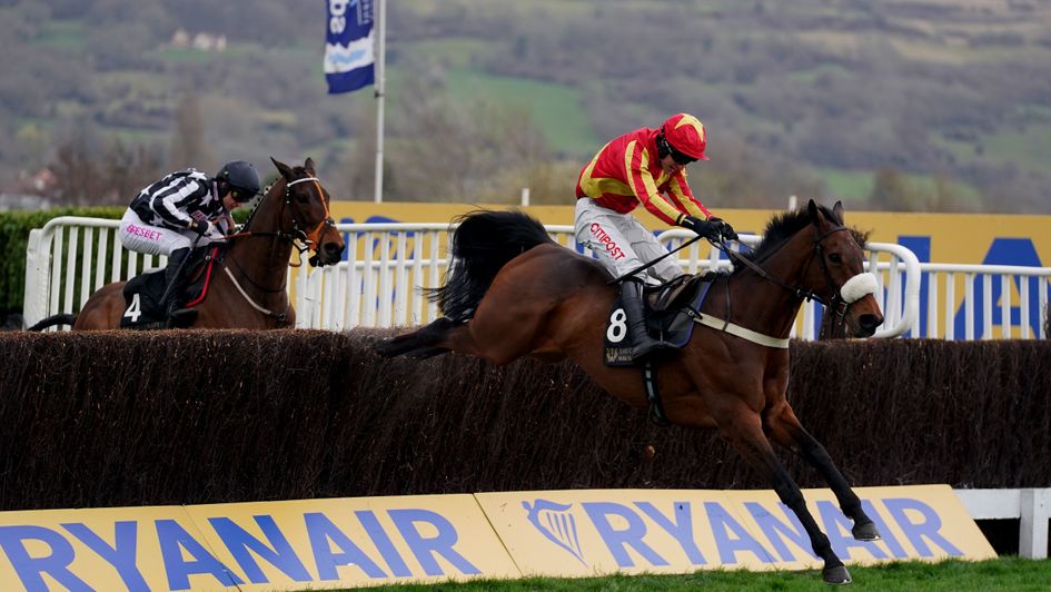 Another Cheltenham win for Coole Cody
