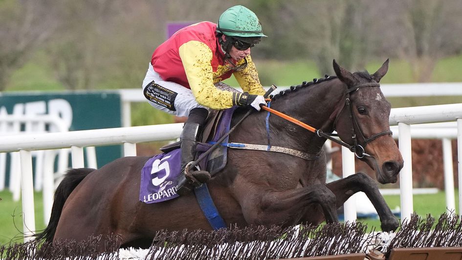 Cousin Kate in action at Leopardstown