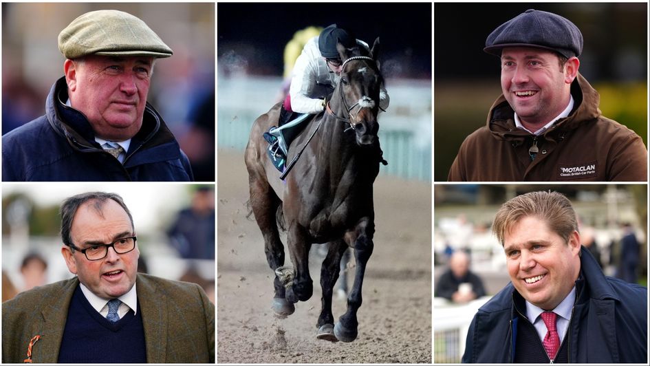 Top trainers on where they would take Constitution Hill next