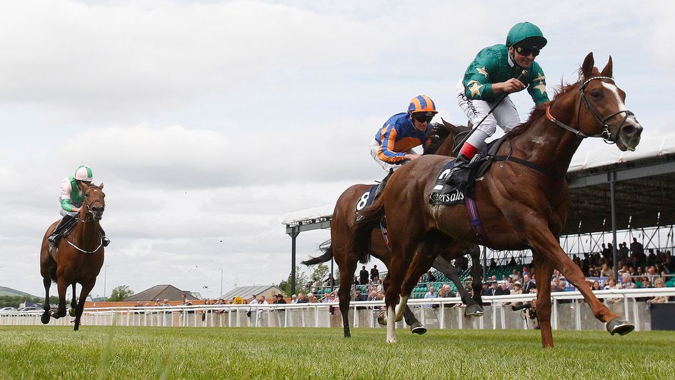 Decorated Knight wins the Tattersalls Gold Cup