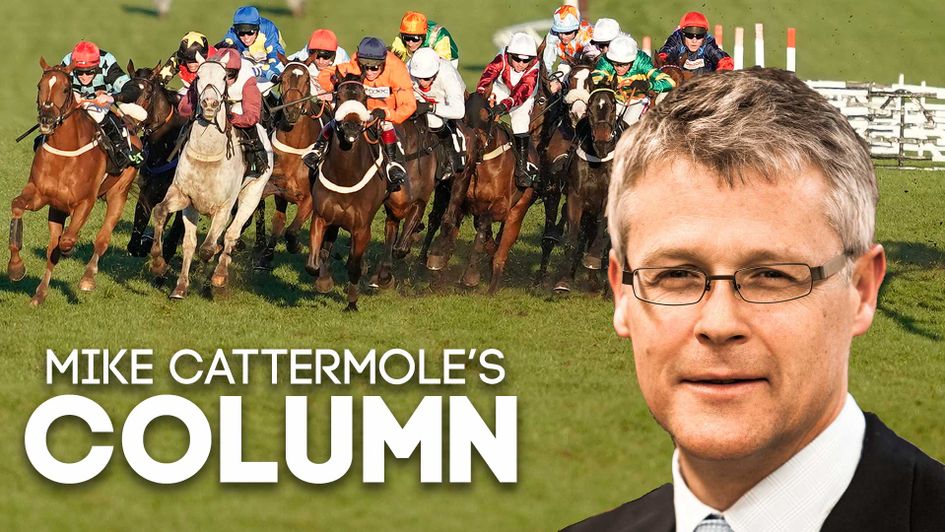 Read the latest Mike Cattermole column