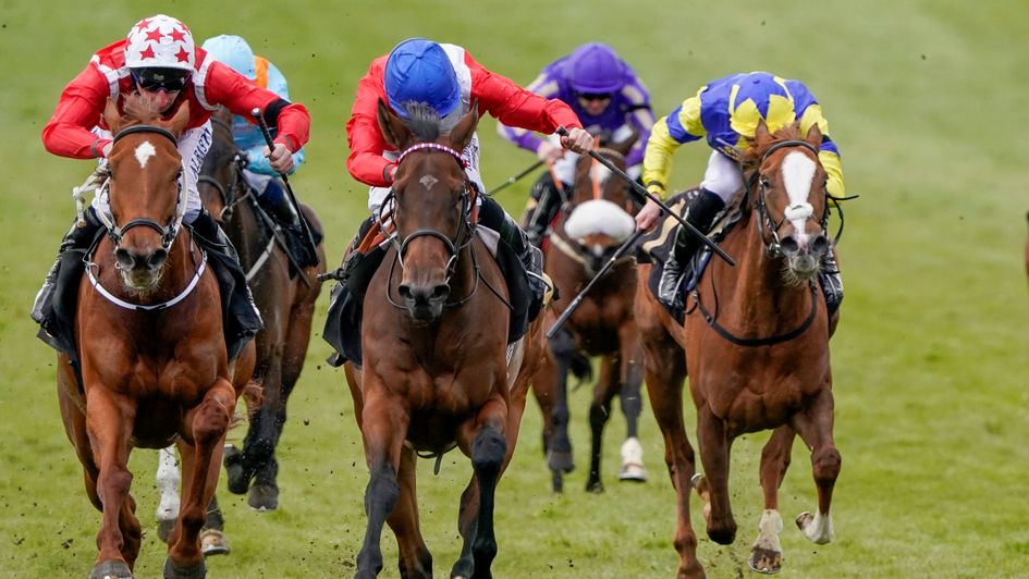 Sacred has the measure of Saffron Beach in the Nell Gwyn